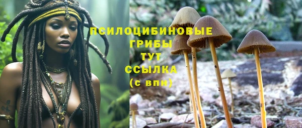 МДПВ Баксан